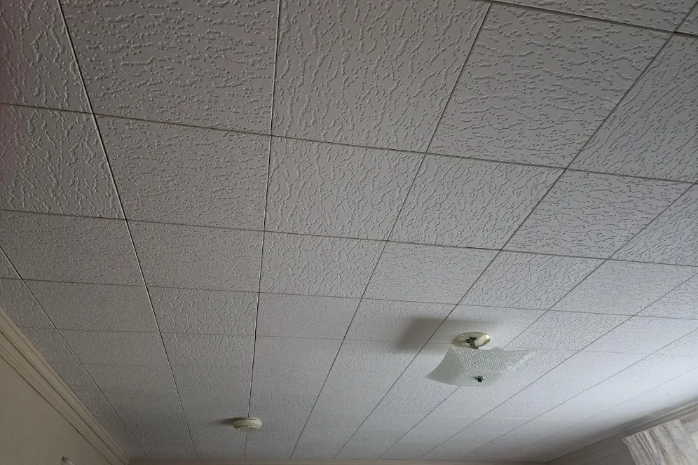 Drywall & Ceiling Estimating